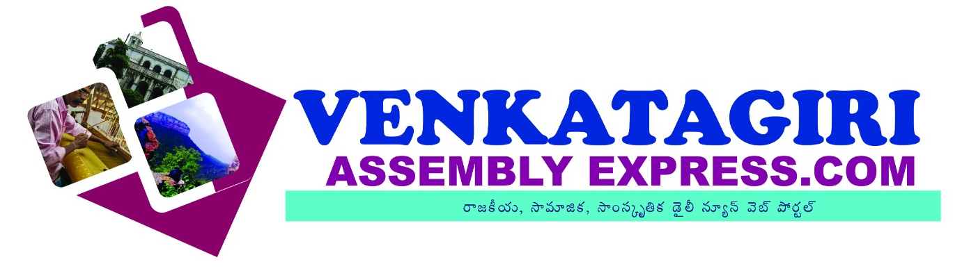 Venkatagiri Masters Politics